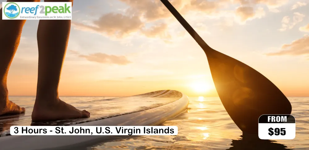 4 Hour Private Charter