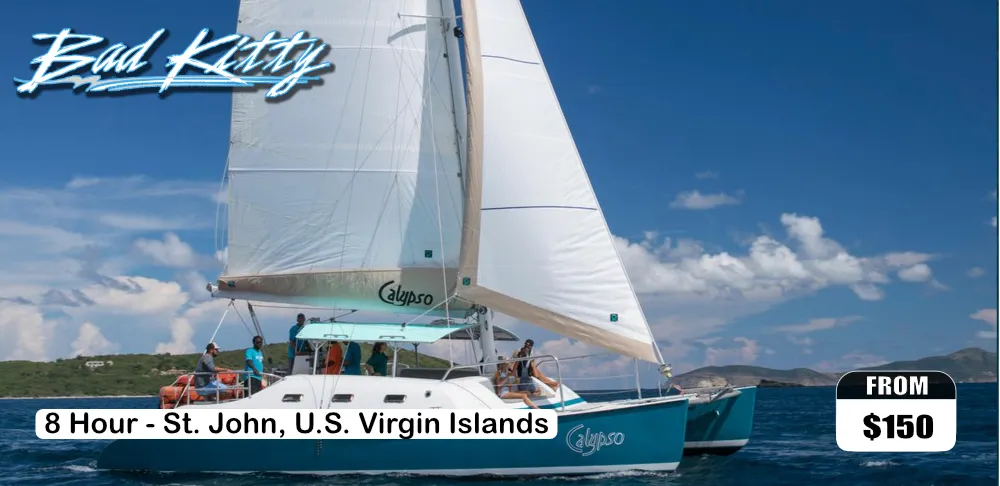 Bad Kitty Best of the BVI (BVI Trip) Calypso Bad Kitty Tropicat