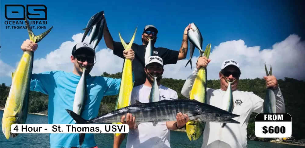 Cruise Ship 4 Hour Fishing Charter