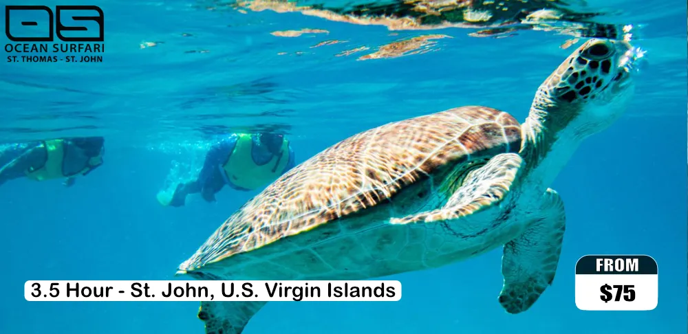 Do It All Trip: Snorkel, Pizza and Sunset