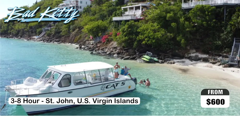 Full Day USVI Trip
