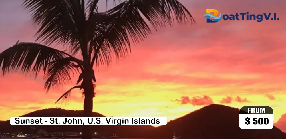 Half Day Trip Charter (BVI)