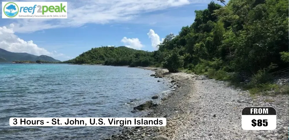 Hiking Excursion - Brown Bay