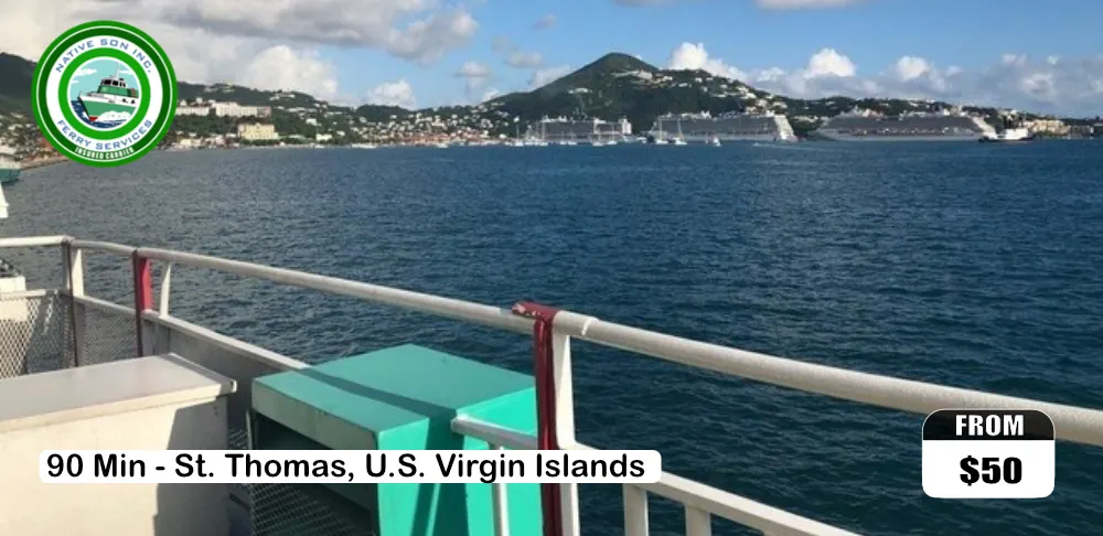 Jost Van Dyke Sail (BVI Trip) Calypso Bad Kitty Tropicat