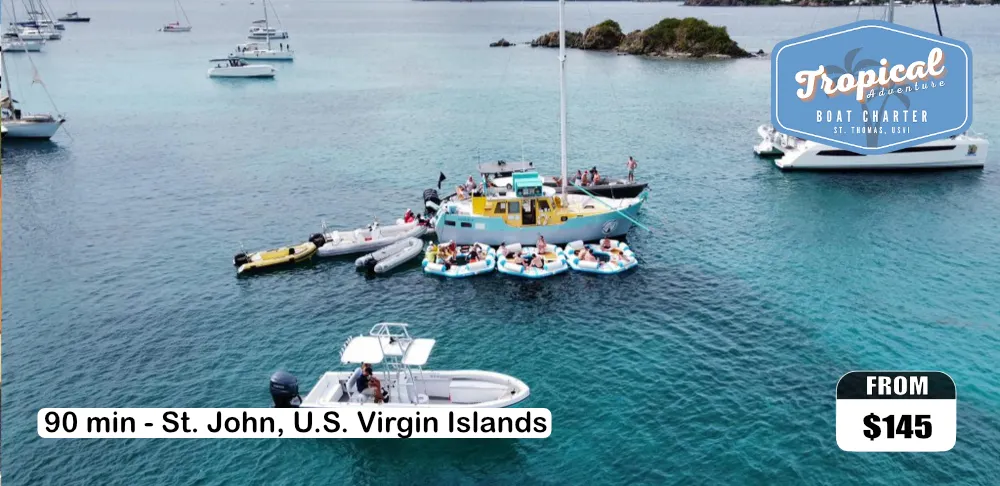 Kayak Rentals