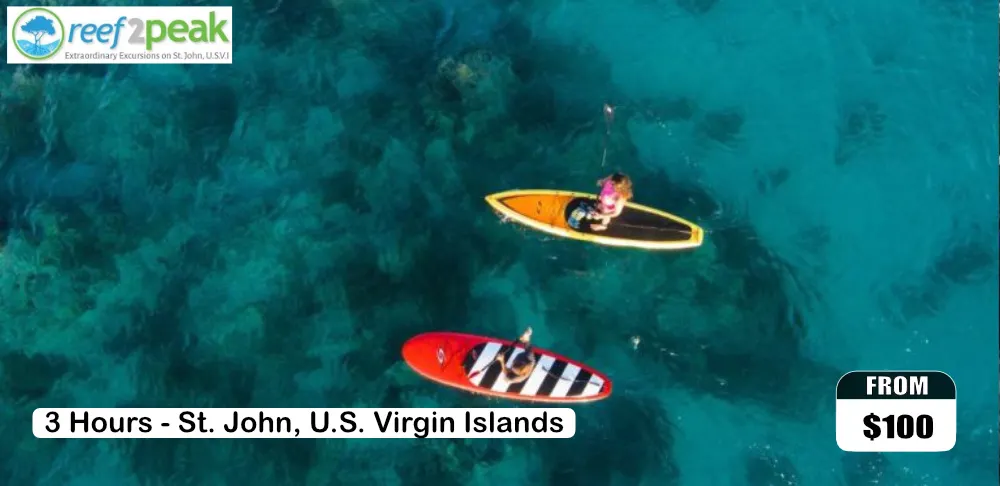 North Shore Kayak