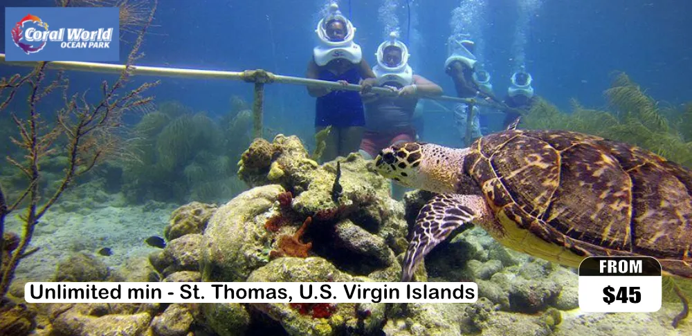 Package #3: Sightseeing, Shopping & Swimming Excursion