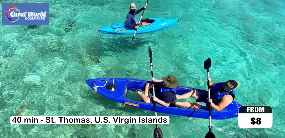 Package #4: Sightseeing & Swimming Excursion