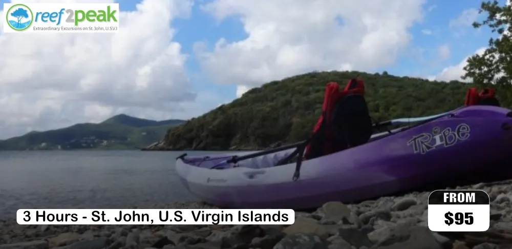 Princess Bay Paddle & Kayak