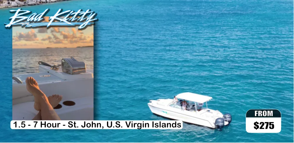Private Island Lime Out Tour