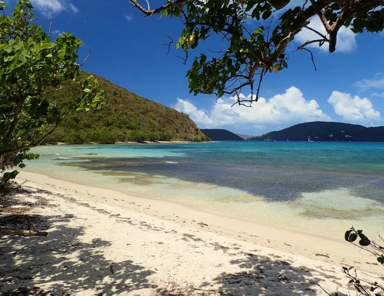 Brown Bay