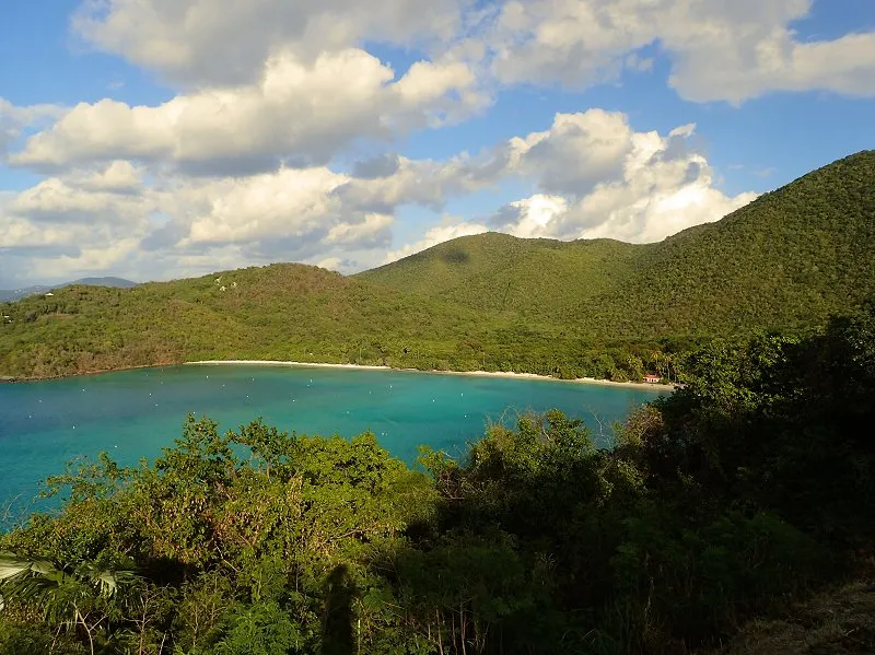Francis Bay