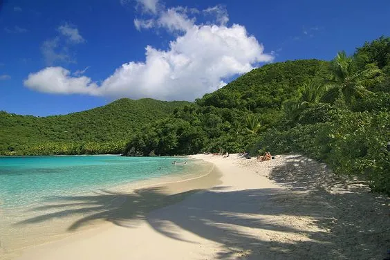 Hawk’s Nest Bay