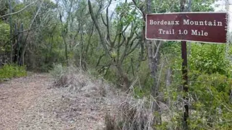 Bordeaux Mtn. Trail