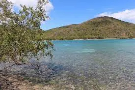 Brown Bay Trail
