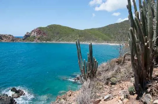 Europa Bay Trail.