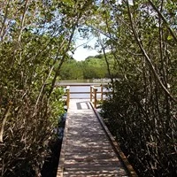 Francis Bay Trail