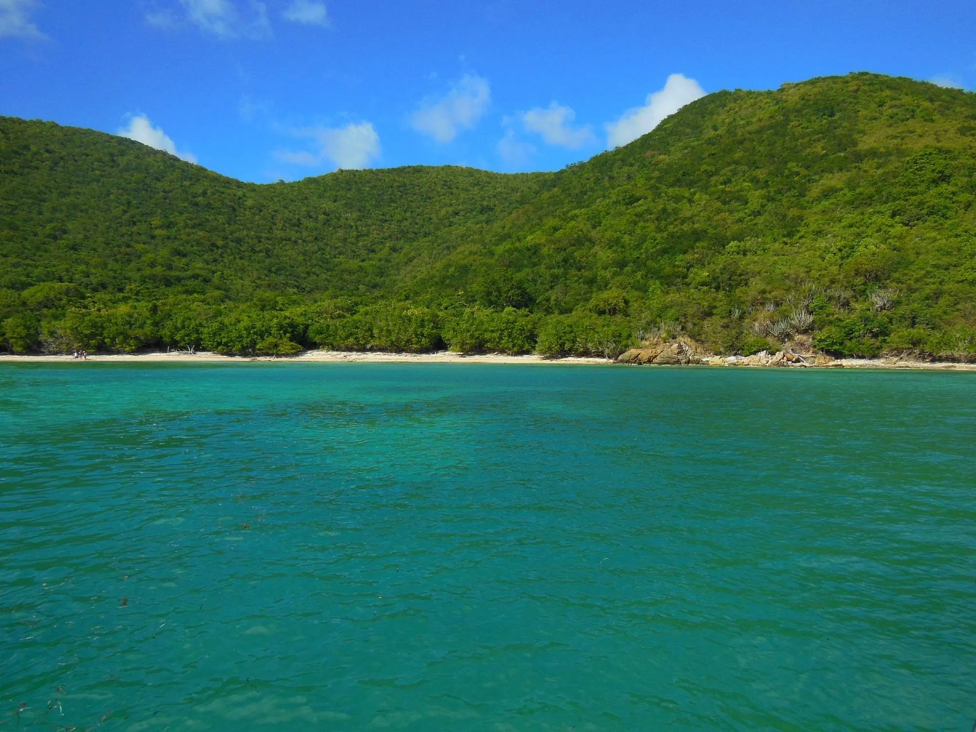Genti Bay Trail