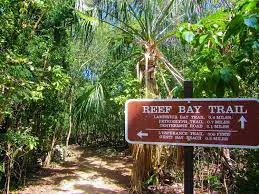 Reef Bay Trail