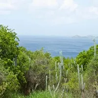 Tektite Trail