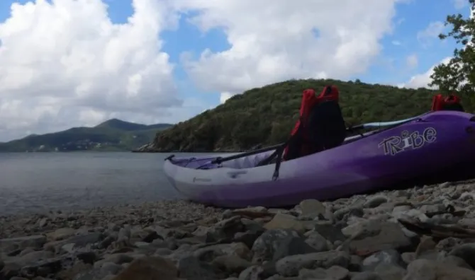 Kayak Excursions