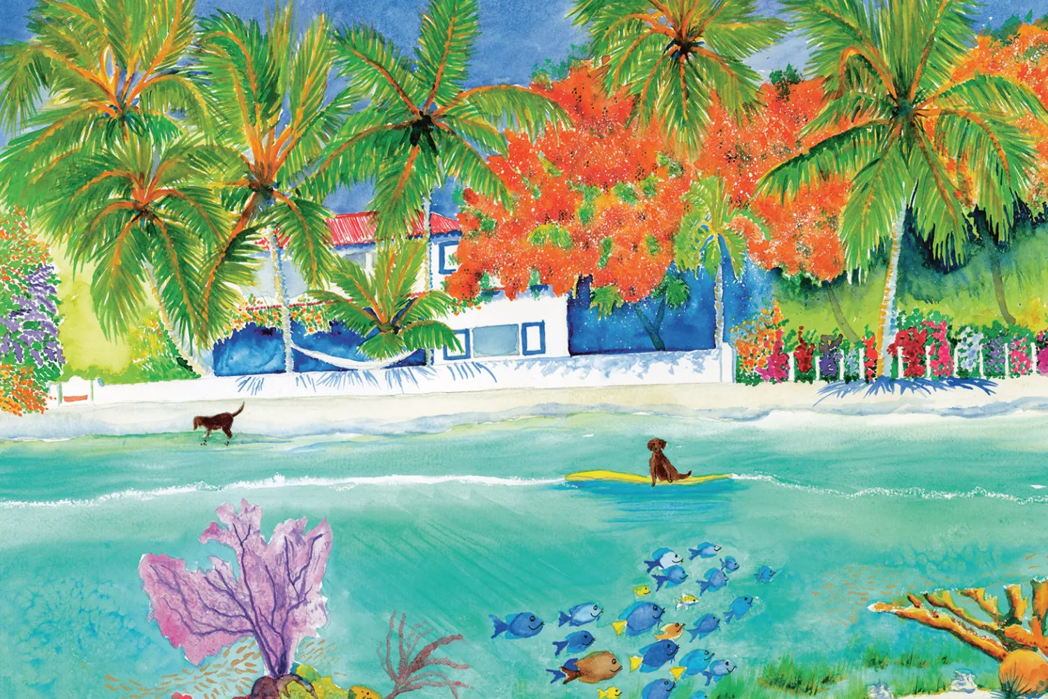 COCONUT COAST STUDIOS