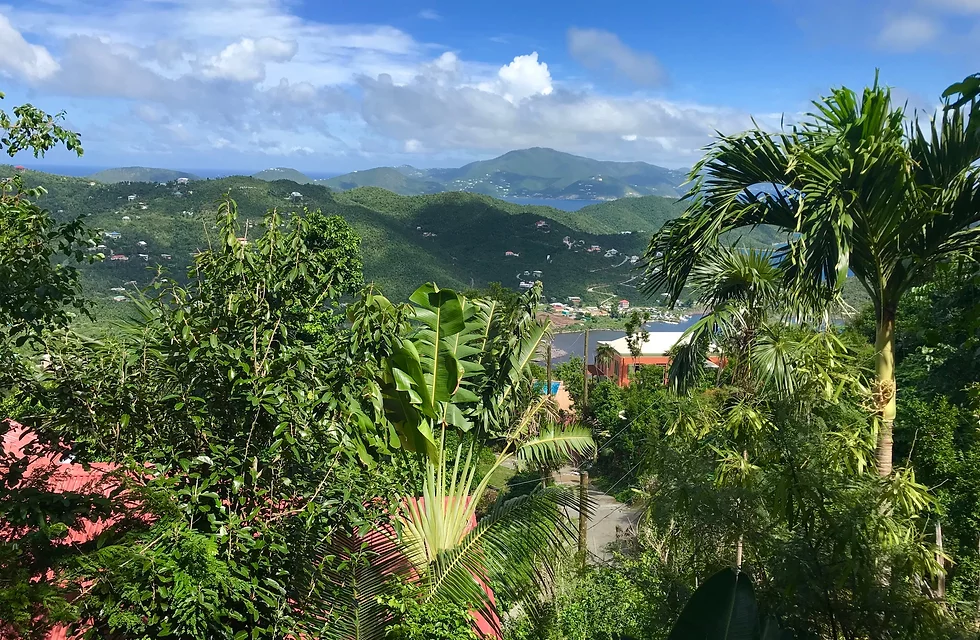CORAL BAY VIEWS